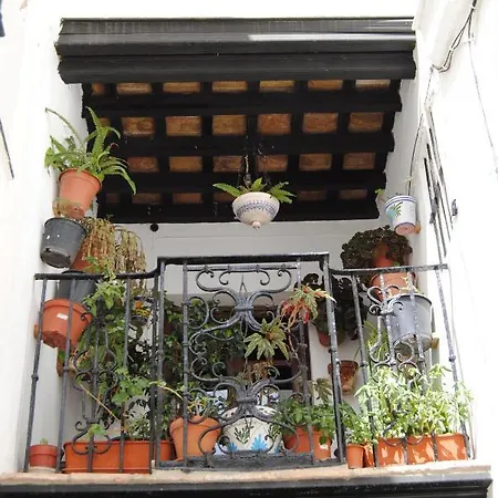 Casa Michèle In The Historic Center